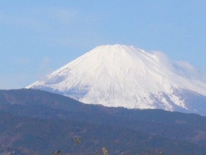 富士山